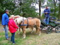 Pauzeplaats