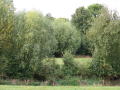 Rit deel 2